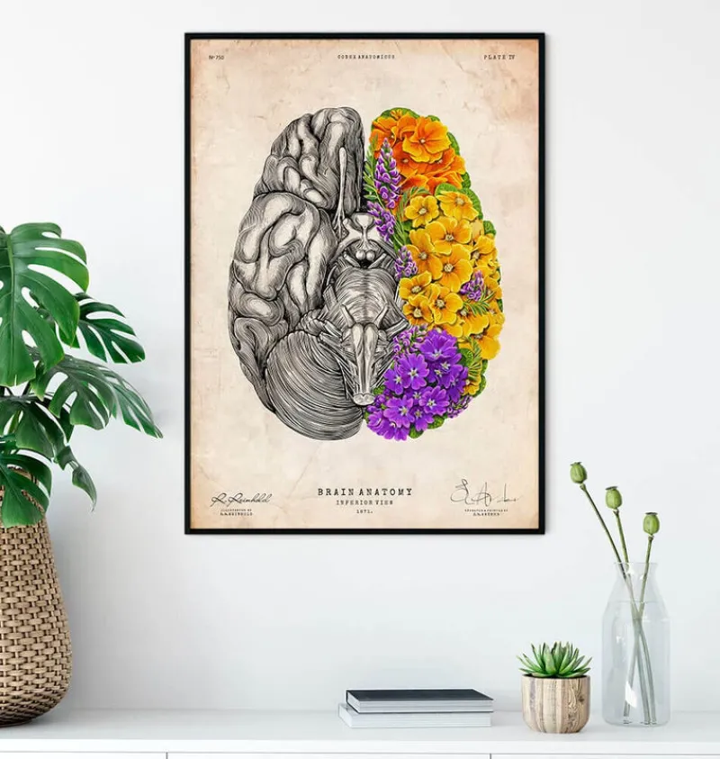 Codex Anatomicus Brain Anatomy^Anatomical brain - Floral - Vintage