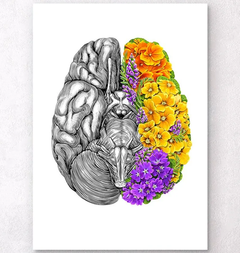 Codex Anatomicus Brain Anatomy^Anatomical brain with flowers - White