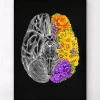 Codex Anatomicus Brain Anatomy^Anatomical brain with flowers - Black