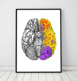 Codex Anatomicus Brain Anatomy^Anatomical brain with flowers - White