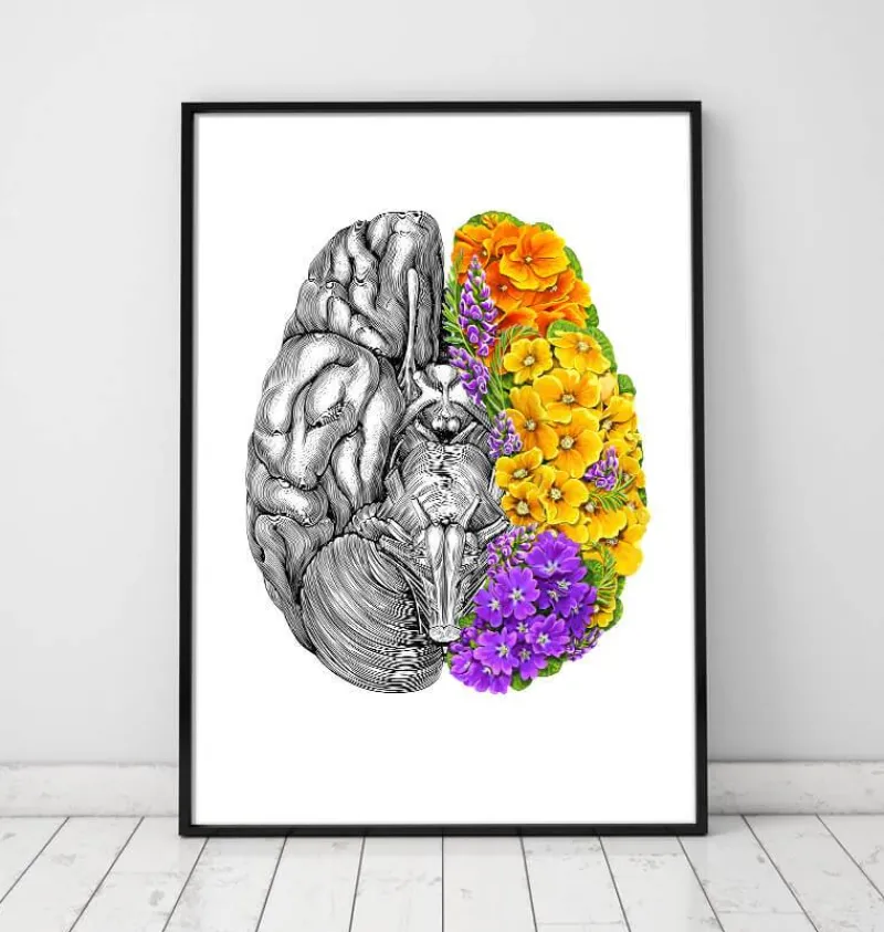 Codex Anatomicus Brain Anatomy^Anatomical brain with flowers - White
