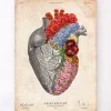 Codex Anatomicus Heart Anatomy^Anatomical heart - Floral - Vintage