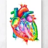 Codex Anatomicus Heart Anatomy^Anatomical heart art - Watercolor splash