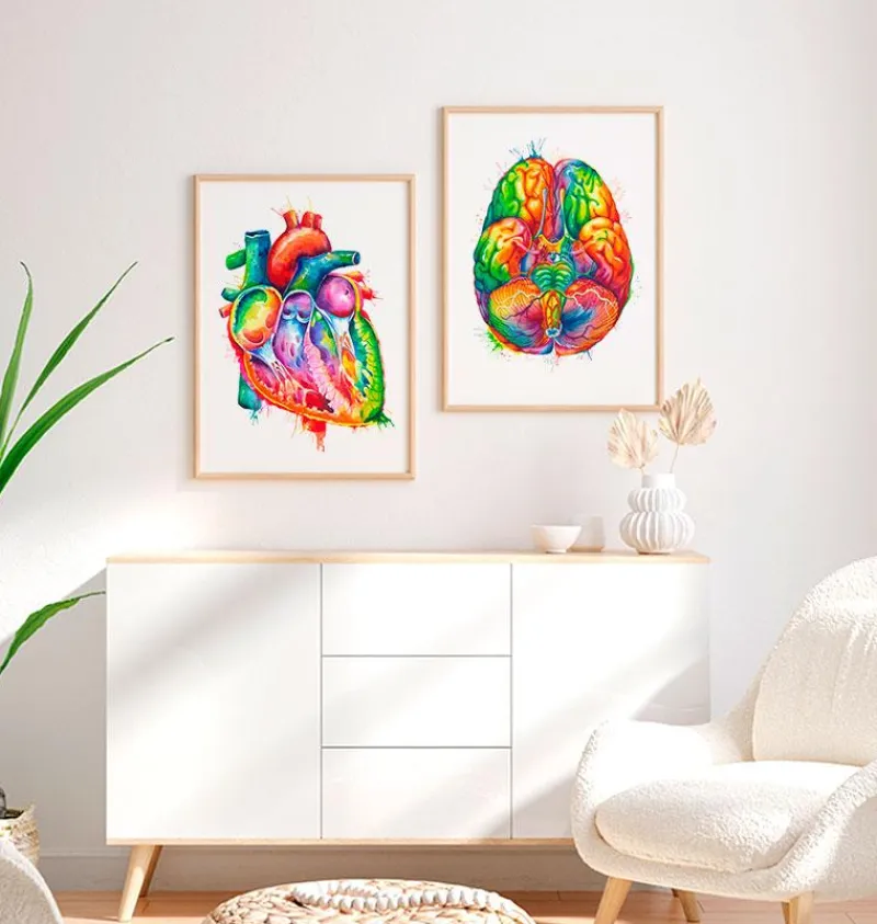 Codex Anatomicus Heart Anatomy^Anatomical heart art - Watercolor splash