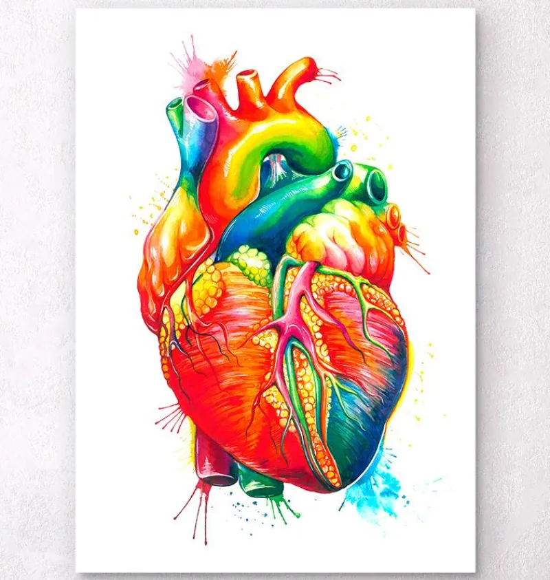 Codex Anatomicus Heart Anatomy^Anatomical heart art II - Watercolor splash