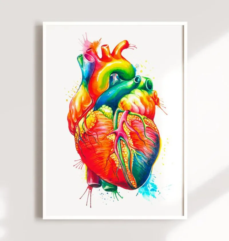 Codex Anatomicus Heart Anatomy^Anatomical heart art II - Watercolor splash
