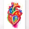 Codex Anatomicus Heart Anatomy^Anatomical heart art III - Watercolor splash