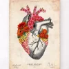 Codex Anatomicus Heart Anatomy^Anatomical heart II - Floral - Vintage
