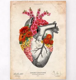 Codex Anatomicus Heart Anatomy^Anatomical heart II - Floral - Vintage