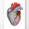 Codex Anatomicus Heart Anatomy^Anatomical heart with flowers - White