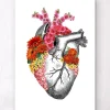 Codex Anatomicus Heart Anatomy^Anatomical heart with flowers II - White