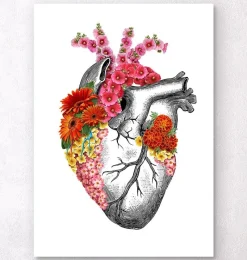 Codex Anatomicus Heart Anatomy^Anatomical heart with flowers II - White