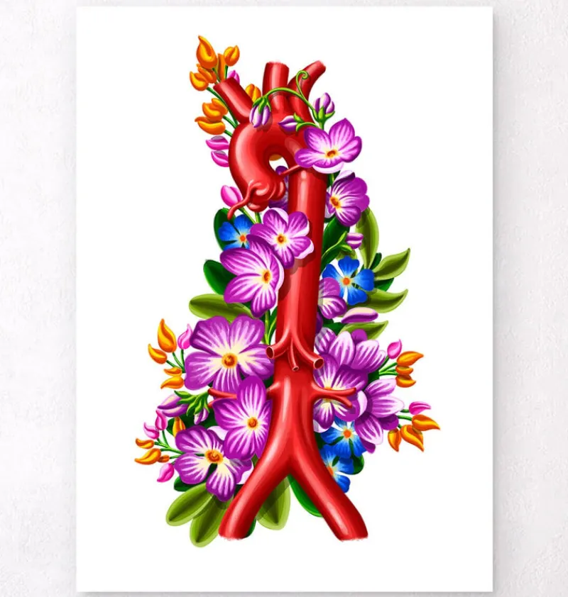 Codex Anatomicus Heart Anatomy^Aorta - Floral - White