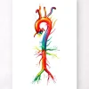 Codex Anatomicus Heart Anatomy^Aorta anatomy - Watercolor splash