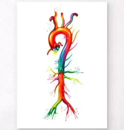 Codex Anatomicus Heart Anatomy^Aorta anatomy - Watercolor splash