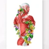Codex Anatomicus Full Body Anatomy^Back muscles in motion - Floral - White