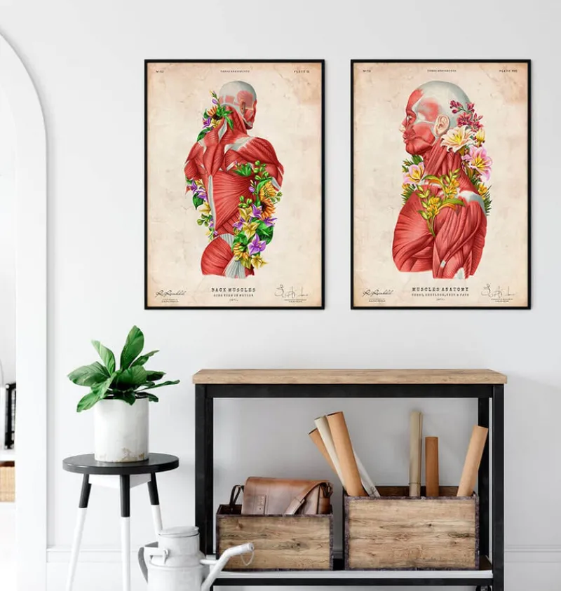 Codex Anatomicus Full Body Anatomy^Back muscles in motion - Floral - Vintage