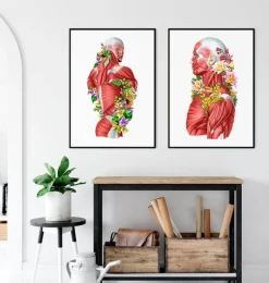 Codex Anatomicus Full Body Anatomy^Back muscles in motion - Floral - White