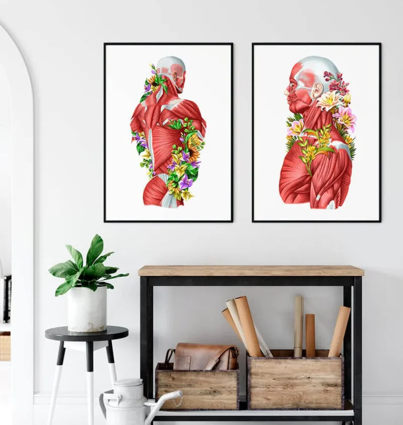 Codex Anatomicus Full Body Anatomy^Back muscles in motion - Floral - White