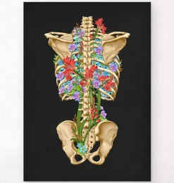 Codex Anatomicus Skull & Skeleton^Back skeleton - Floral - Black