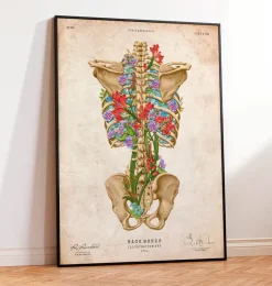 Codex Anatomicus Skull & Skeleton^Back skeleton - Floral - Vintage