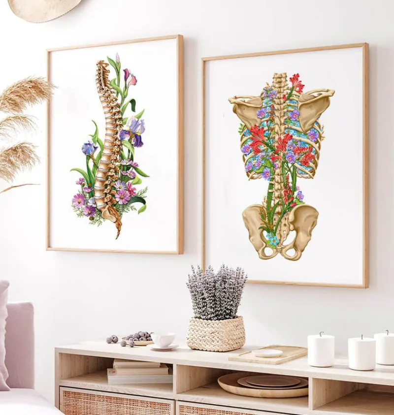 Codex Anatomicus Skull & Skeleton^Back skeleton - Floral - White