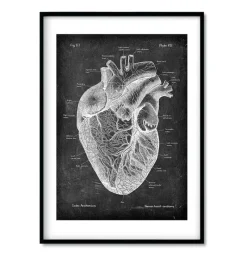 Codex Anatomicus Lungs Anatomy | Brain Anatomy^Bestsellers Set of 3 - Chalkboard