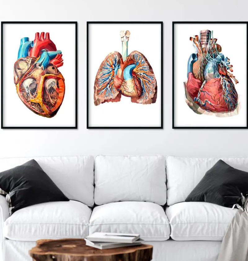 Codex Anatomicus Heart Anatomy^Bestsellers Set of 3 - Geometric