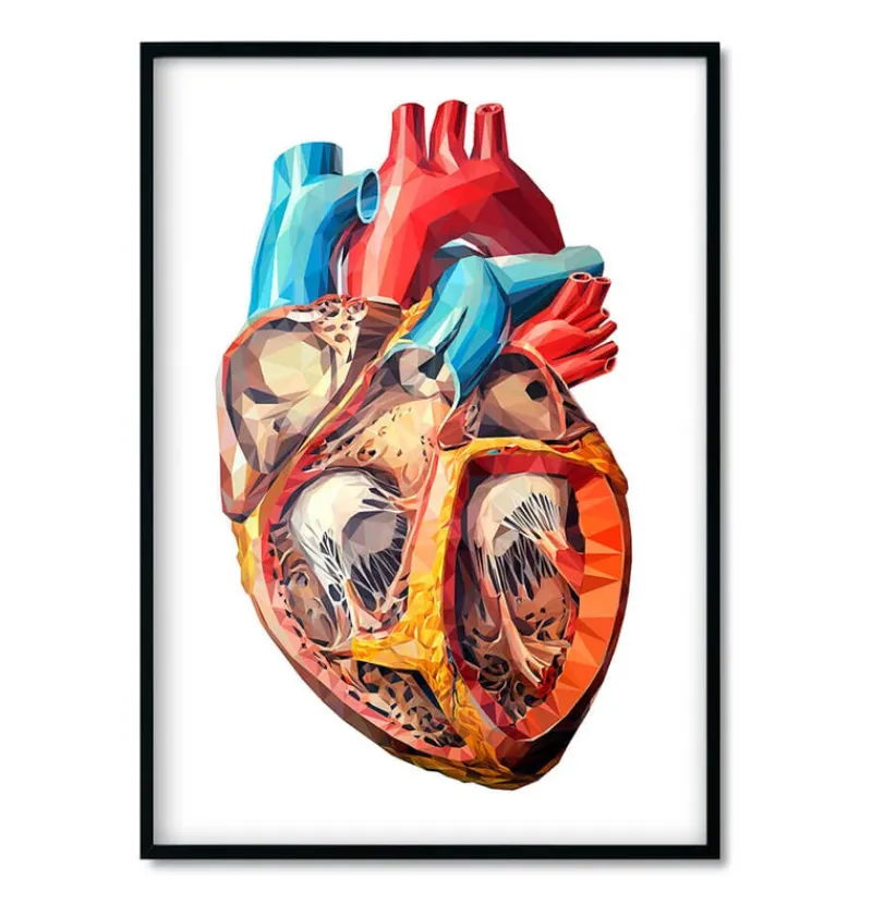 Codex Anatomicus Heart Anatomy^Bestsellers Set of 3 - Geometric
