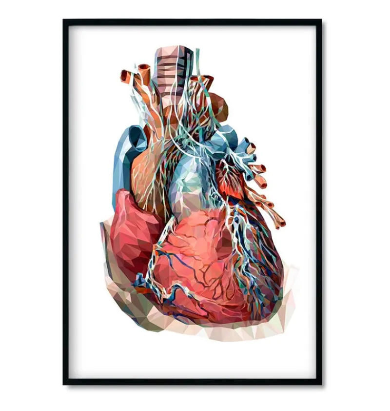 Codex Anatomicus Heart Anatomy^Bestsellers Set of 3 - Geometric