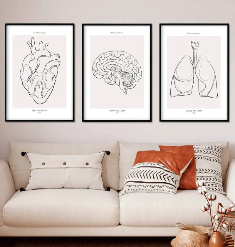 Codex Anatomicus Heart Anatomy^Bestsellers Set of 3 - Line Art