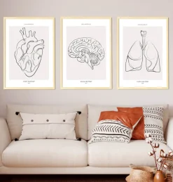 Codex Anatomicus Heart Anatomy^Bestsellers Set of 3 - Line Art