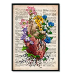 Codex Anatomicus Heart Anatomy^Bestsellers Set of 3 - Old Dictionary