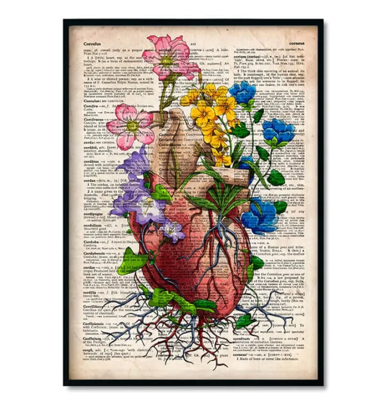 Codex Anatomicus Heart Anatomy^Bestsellers Set of 3 - Old Dictionary