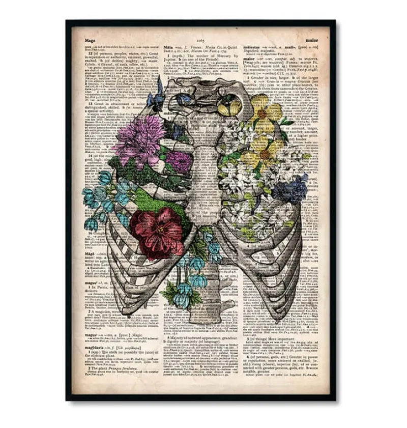 Codex Anatomicus Heart Anatomy^Bestsellers Set of 3 - Old Dictionary