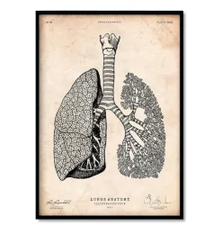 Codex Anatomicus Heart Anatomy^Bestsellers Set of 3 - Vintage