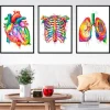 Codex Anatomicus Heart Anatomy^Bestsellers Set of 3 - Watercolor