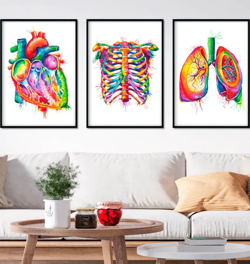 Codex Anatomicus Heart Anatomy^Bestsellers Set of 3 - Watercolor