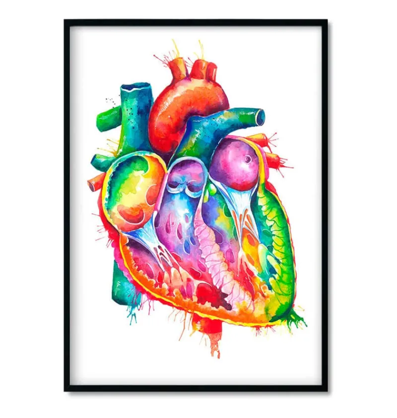 Codex Anatomicus Heart Anatomy^Bestsellers Set of 3 - Watercolor