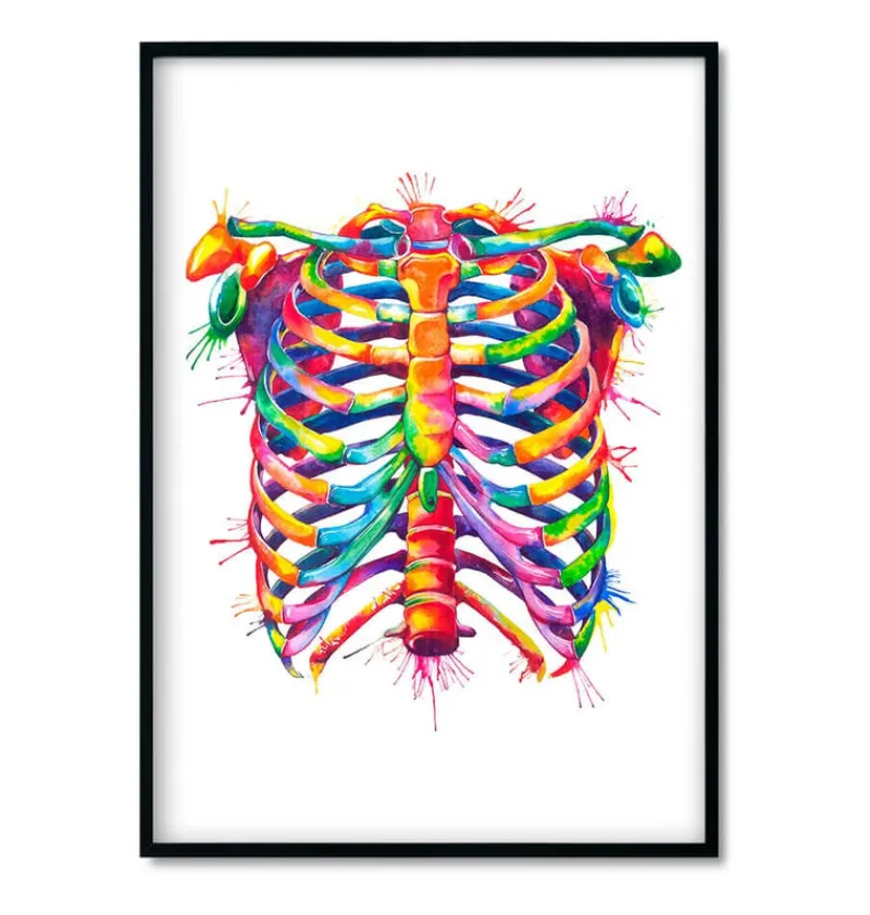 Codex Anatomicus Heart Anatomy^Bestsellers Set of 3 - Watercolor