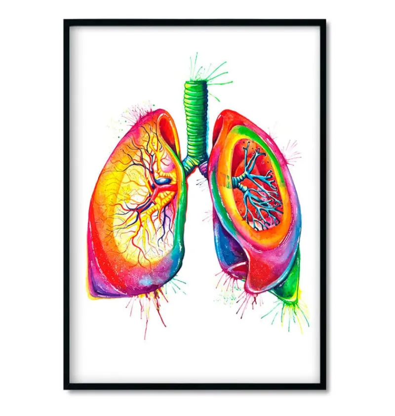 Codex Anatomicus Heart Anatomy^Bestsellers Set of 3 - Watercolor