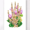 Codex Anatomicus Skull & Skeleton | Hands & Legs^Bones of a hand - Floral - White