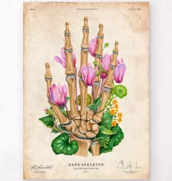 Codex Anatomicus Skull & Skeleton | Hands & Legs^Bones of a hand - Floral - Vintage