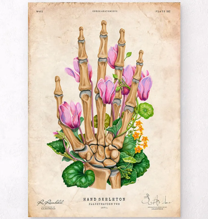 Codex Anatomicus Skull & Skeleton | Hands & Legs^Bones of a hand - Floral - Vintage