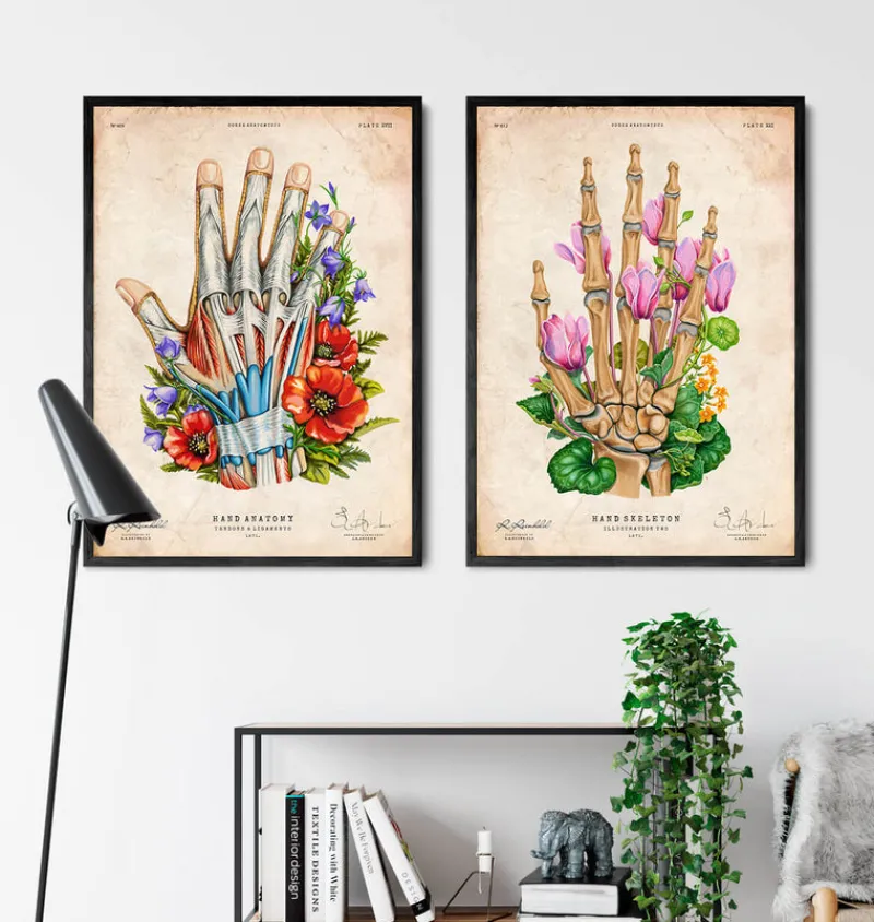 Codex Anatomicus Skull & Skeleton | Hands & Legs^Bones of a hand - Floral - Vintage