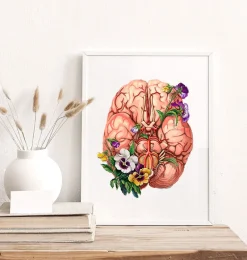 Codex Anatomicus Brain Anatomy^Brain anatomy - Floral