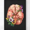 Codex Anatomicus Brain Anatomy^Brain anatomy - Floral - Black