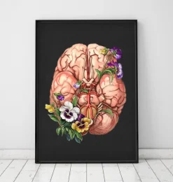 Codex Anatomicus Brain Anatomy^Brain anatomy - Floral - Black