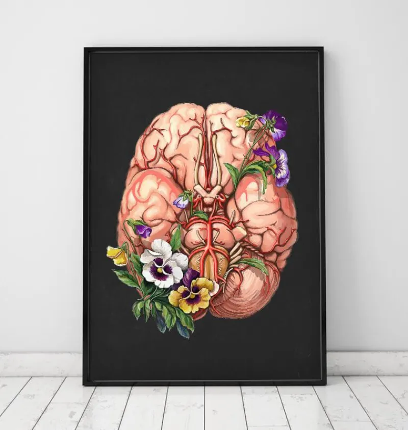 Codex Anatomicus Brain Anatomy^Brain anatomy - Floral - Black