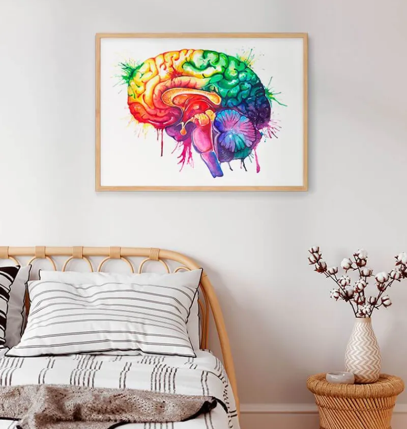 Codex Anatomicus Brain Anatomy^Brain anatomy art - Watercolor splash